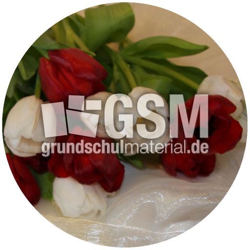 Tulpenstrauß.jpg